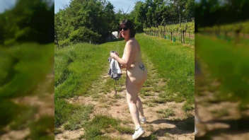 Discovery of an Alsatian vineyard: topless stroll in search of grapes