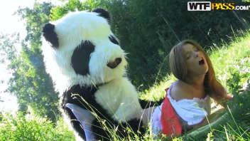 Venez découvrir une expérience unique et émouvante où une belle dame se met à baisers avec un adorable panda. Découvrez comment la tendresse et l'affection peuvent transformer cette rencontre extraordinaire.